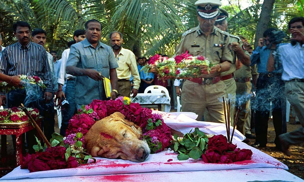 mukesh parpiani
